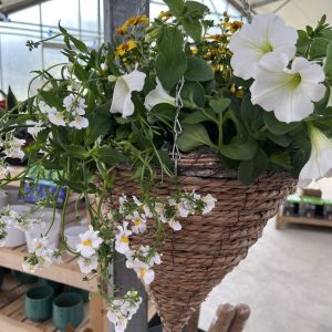 Hanging Basket Workshop 15 May 2025