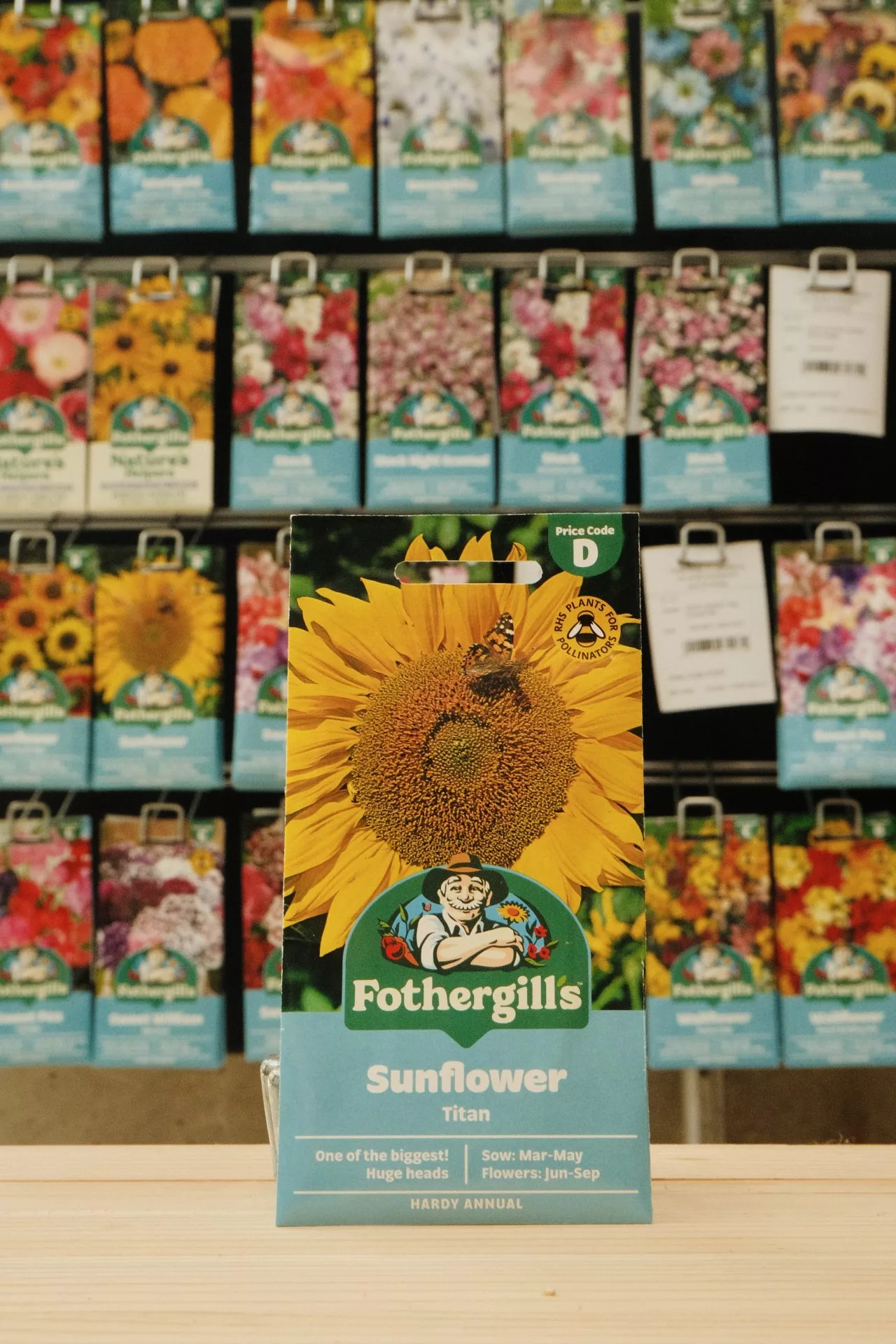 Fothergill's Sunflower 'Titan'