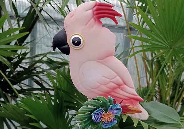 products-garden-stick-parrot_W600